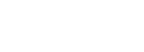 Bayani Customs LLC